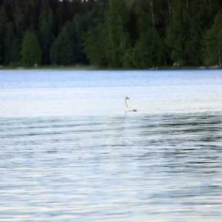 Pihlajatupa By Interhome