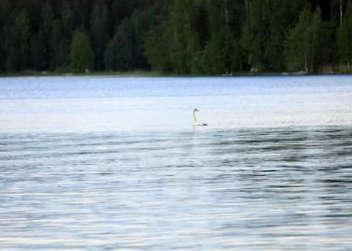 Tatil Evi Pihlajatupa By Interhome *